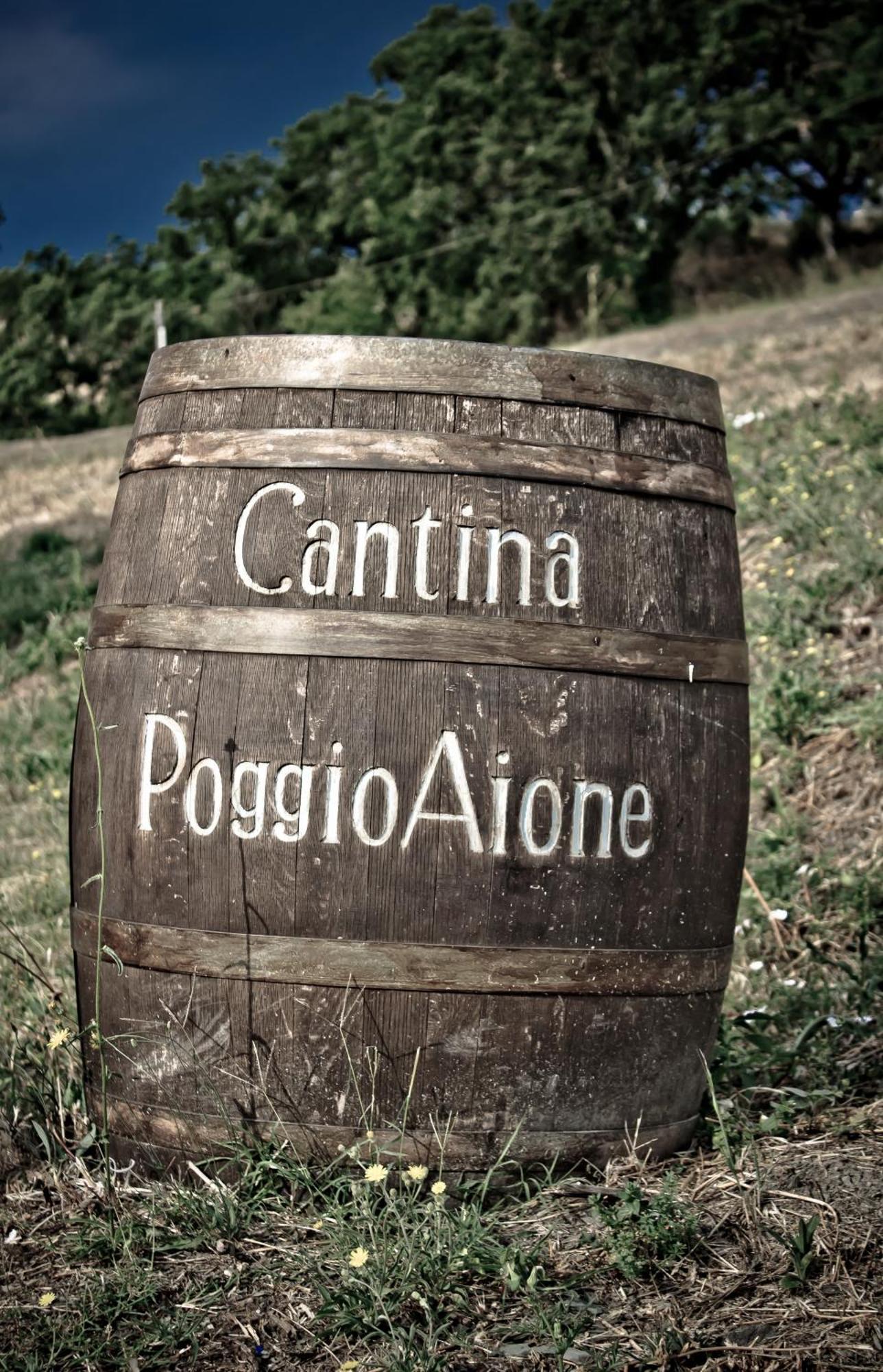 Gasthaus Country House Poggio Aione Catabbio Exterior foto