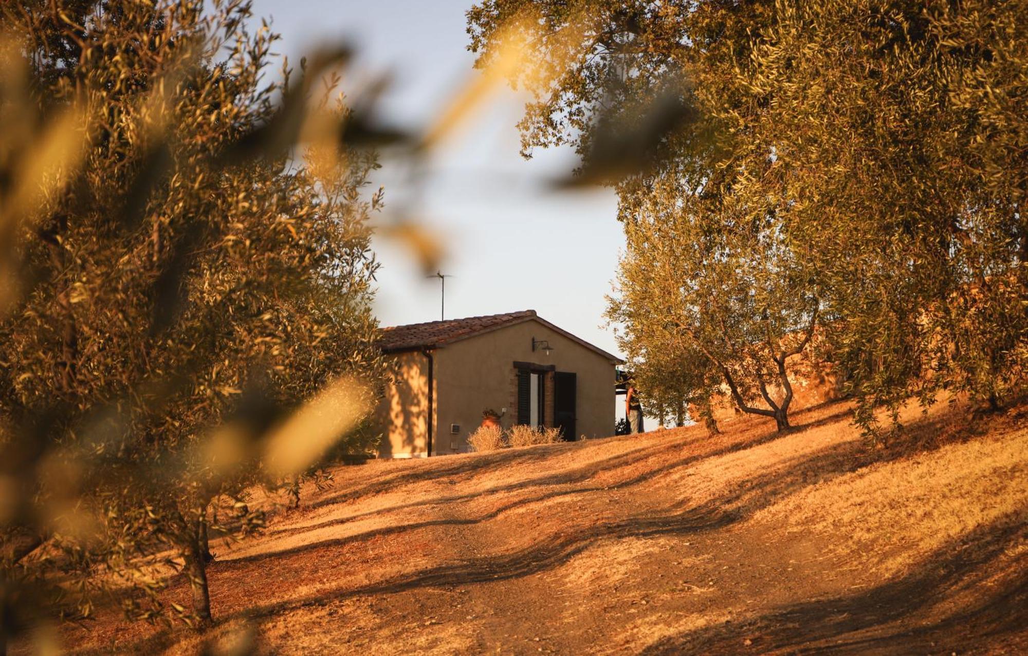 Gasthaus Country House Poggio Aione Catabbio Exterior foto
