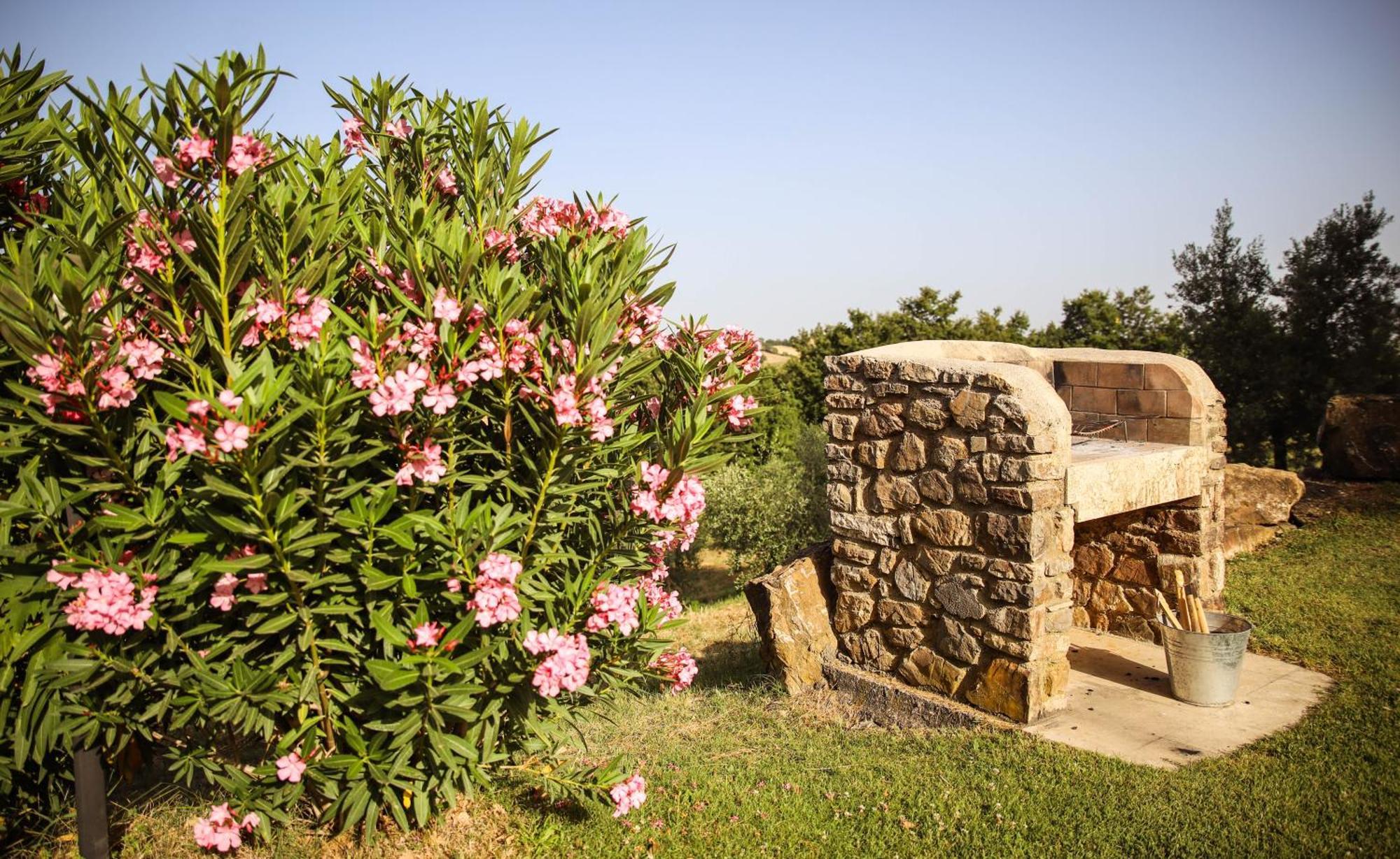 Gasthaus Country House Poggio Aione Catabbio Exterior foto